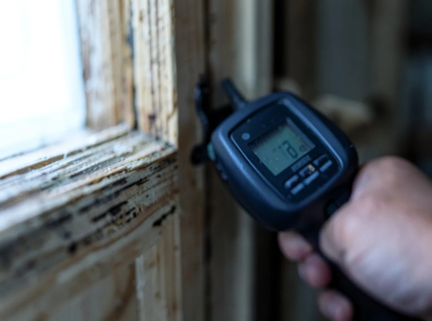 Commercial Water Damage Restoration in Kaufman, TX